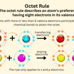 One less than an octet