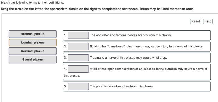 Match the terms with their definitions.