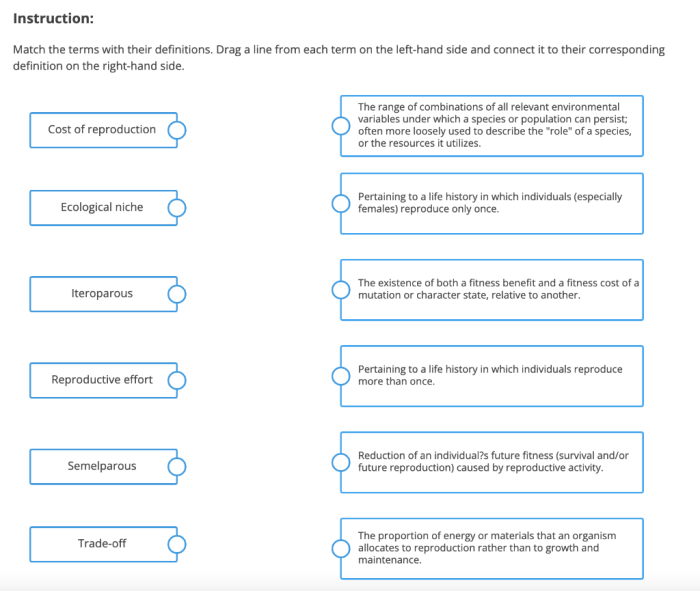 Match the terms with their definitions.