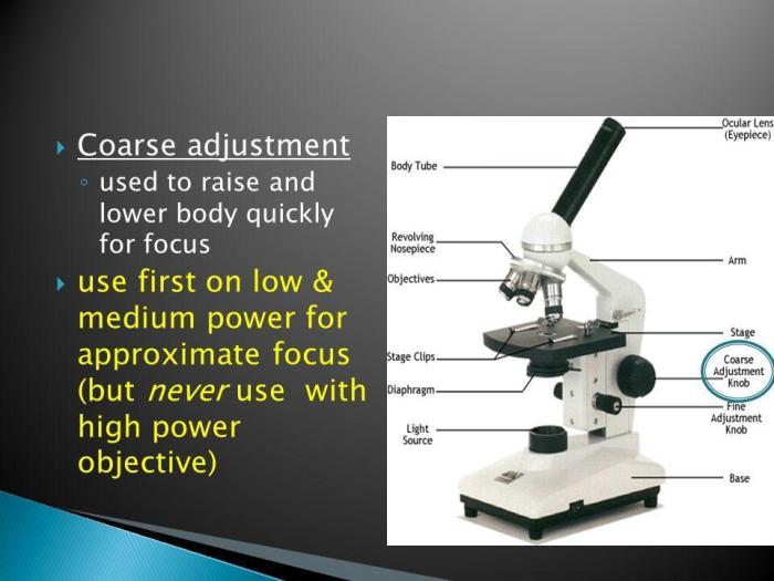 Put 10x objective in place virtual lab