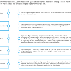 Definitions term selecting lo3