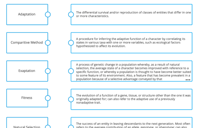 Definitions term selecting lo3