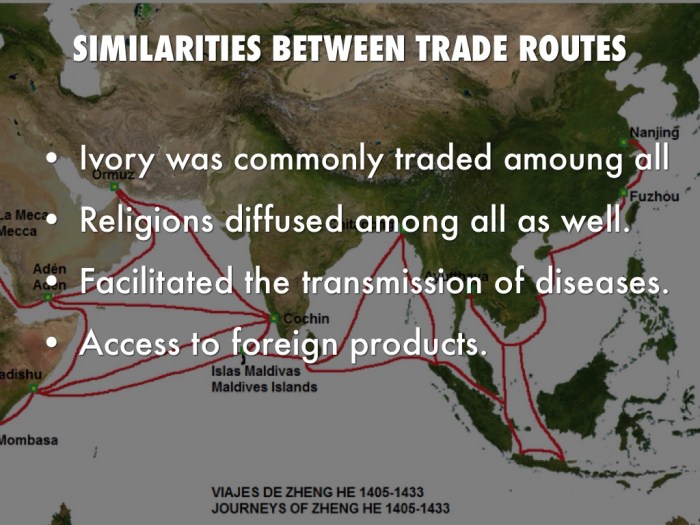 Similarities between the silk road and indian ocean trade