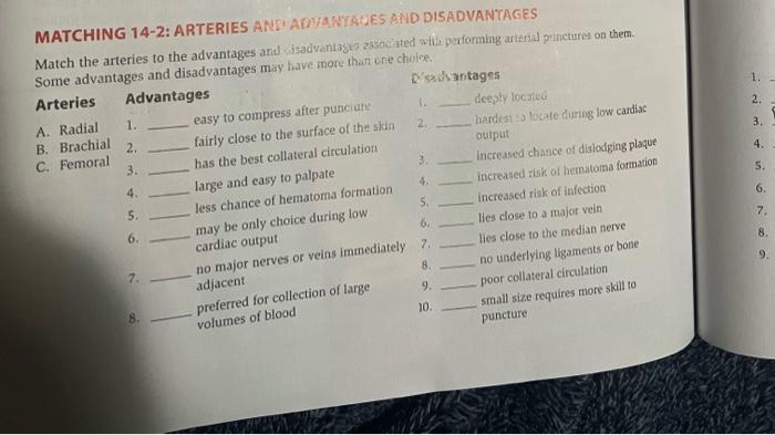 Matching 14-2 arteries and advantages and disadvantages