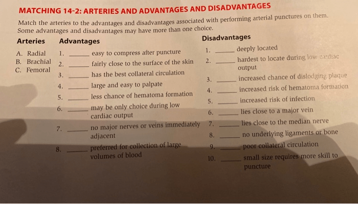 Matching 14-2 arteries and advantages and disadvantages