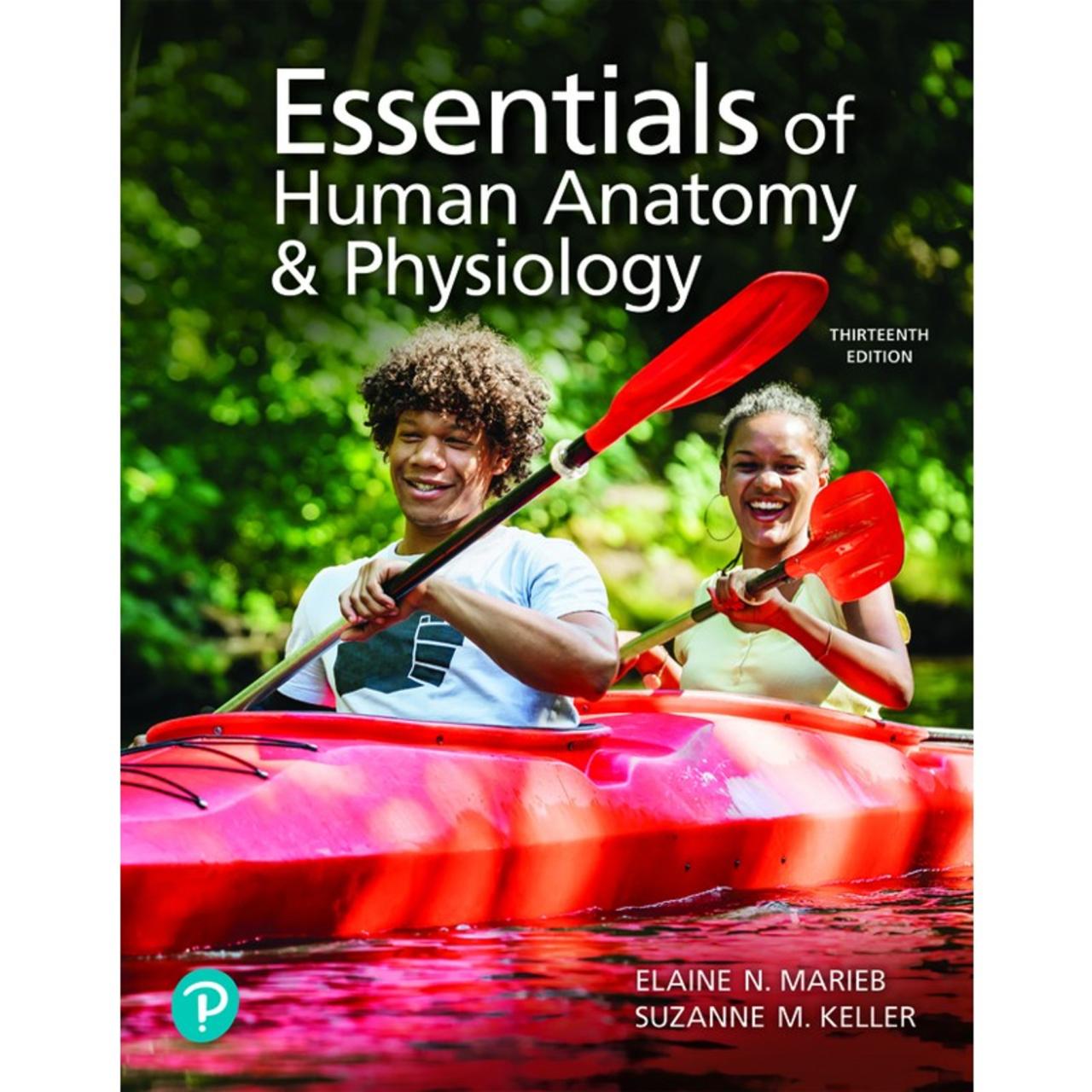 Hole's essentials of human anatomy and physiology