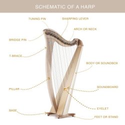 Harp finished