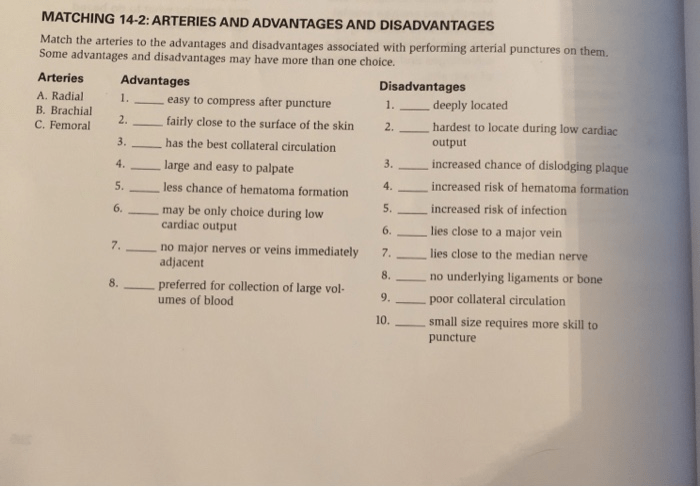 Matching 14-2 arteries and advantages and disadvantages