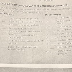 Matching 14-2 arteries and advantages and disadvantages