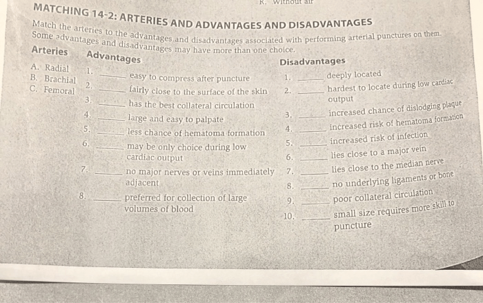 Matching 14-2 arteries and advantages and disadvantages